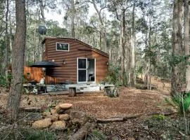 Luxury Tiny Homes in the Forest