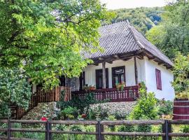 Casuta Fermecata, Tara Lapusului, casa de campo em Fantanele