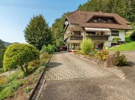 Haus Schindler
