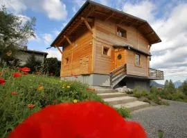CH719 - Chalet 10 Pers aux Carroz