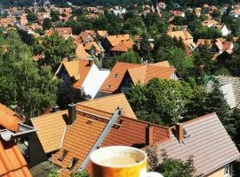 Apartments Villa-Ratskopf Wernigerode