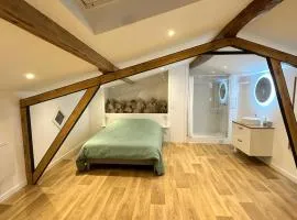 Joli appartement - Roques