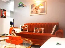 The cozy grey point apt in Kampala