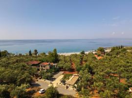 olive grove by the sea 30m from the beach, hotel in Kardamili