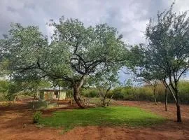 ZuriCamp - Campsite Safiri