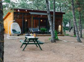 Mutlu Tiny House, domek nebo chatka v destinaci Demircihalil