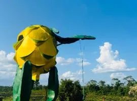 Amazon Gardens
