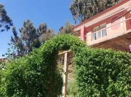 Kactus Lodge - Amantani