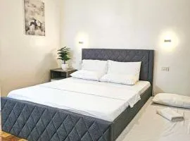 Homey & spacious with private plunge pool ktv near SMtela