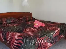 Penu Maurua 1