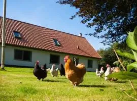 Oplev Bed&Breakfast