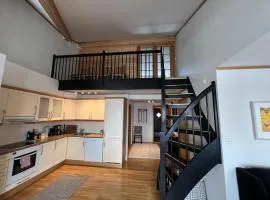 Stylish And Spacious Apartment In Beitostølen