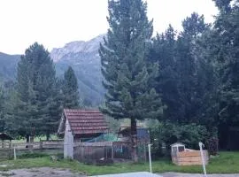 Gorshof