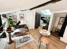 Loft Hortensia Climatisé hyper Centre Castres