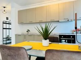 Joy City Stay Mara M9-58