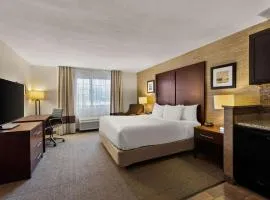 Comfort Inn & Suites Ludington near US-10