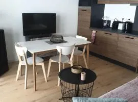 Résidence-Chalet de Prestige Aspen Park - 101