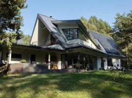 Vila Pušyno 4