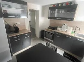 8 Personen Appartment Bad Rappenau