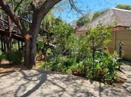 Airport Inn Bed and Breakfast
