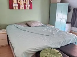 Cozy house