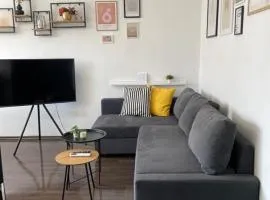 Cozy APT Free Parking Wi-Fi Netflix