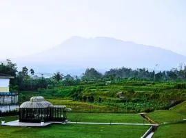 Omah Klekaran