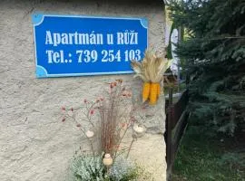 Apartmán U Růži