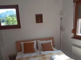 Apartmani Jelenača prizemlje