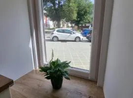 Apartment HANI