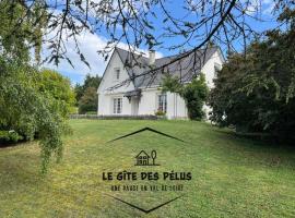 Le gîte des pélus, hotel a Rochecorbon