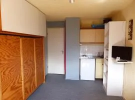 Studio 18m² au pied des pistes, animaux acceptés - FR-1-557A-34