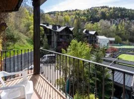 Aparthotel AnyosPark Mountain & Wellness Resort