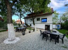 Casa Logascu