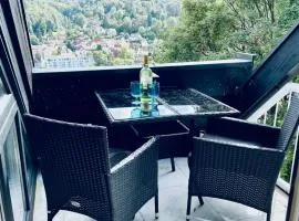Penthouse Overlooking the Neckar