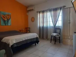 Departamento Zona Sur