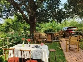 House of Aranya