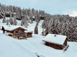 Le Ruisseau, Lindarets, authentique, 11 personnes