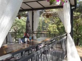 Comfortable House in Kojori