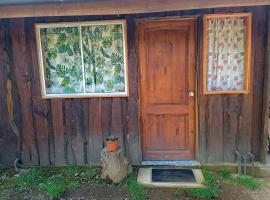 Departamento frente a la entrada de los ojos del caburgua, viešbutis mieste Pukonas