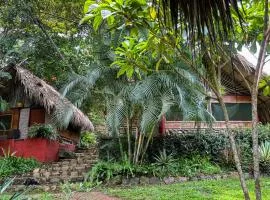 Ave de Montaña Cabañas