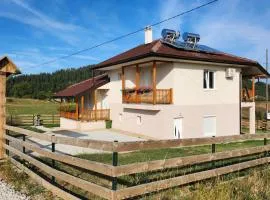 Kuća sa lepim pogledom - porodica Čolović
