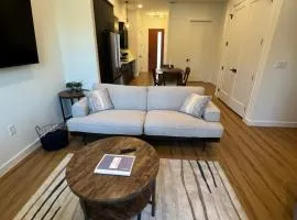 Hip Luxury Condo Getaway- Near Gruene