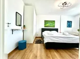 Park View Studio