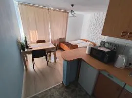 Złota Center Apartament