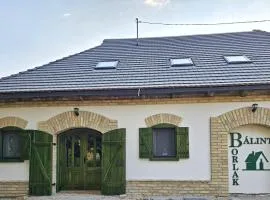 Bálint Borlak