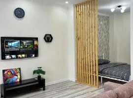 Уютная однушка в центре города