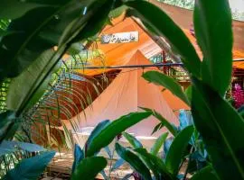 Seren Glamping