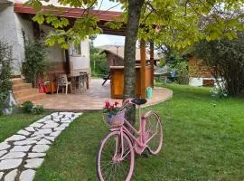 Home & Garden