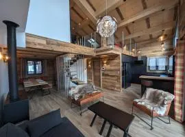 Luxueux chalet montagnard